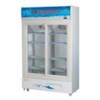 tu mat kingsun ks-lg4-620 hinh 1